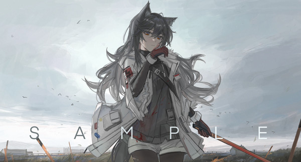 稿