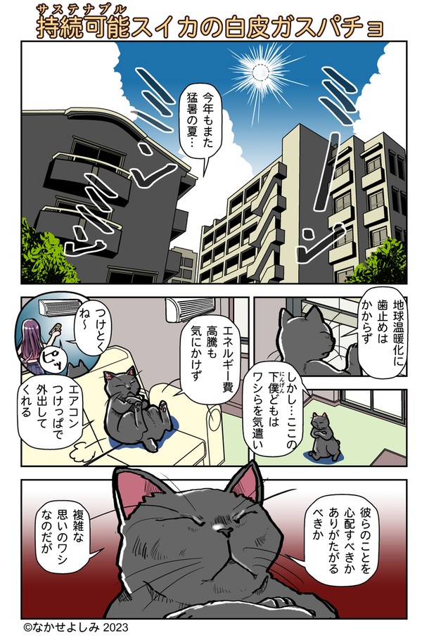 持続可能スイカの白皮ガスパチョ