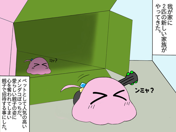 新しいお家だよ