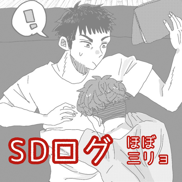 SDログ