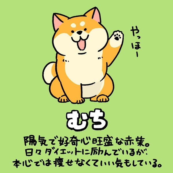 むち