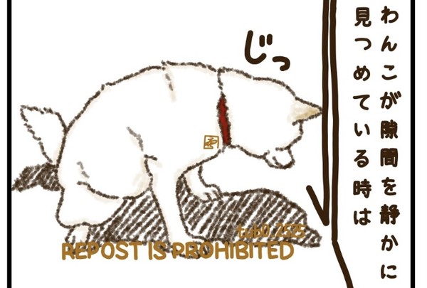 隙間