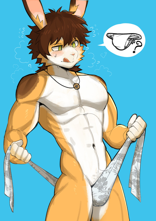 fundoshi ?
