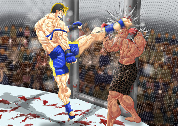 MMA Fight