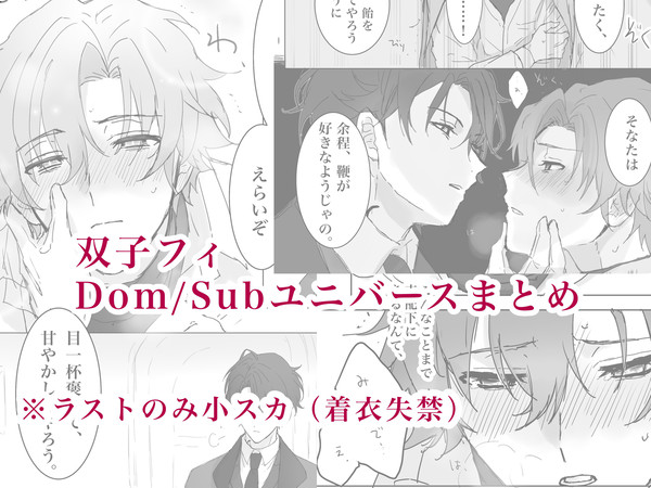 【双子フィ】ドムサブまとめ