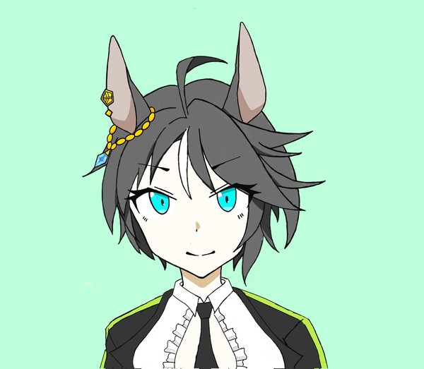 フジキセキ