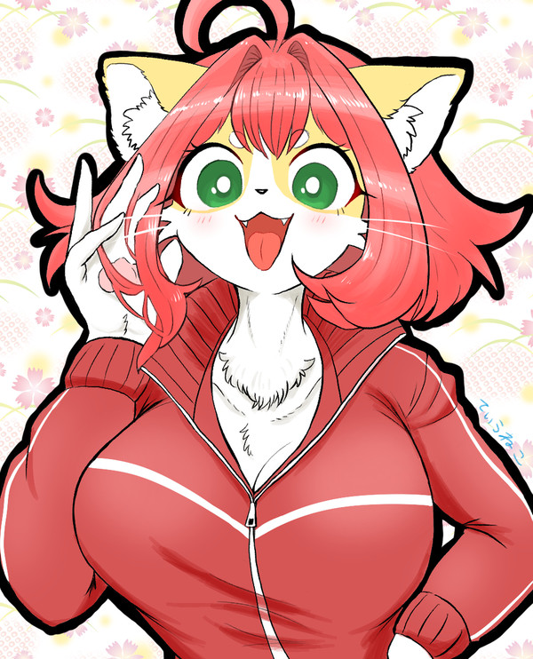 🐱
