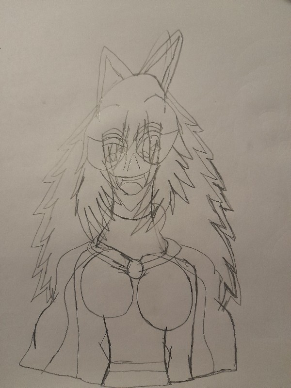 Drawing a picture of a dog fox