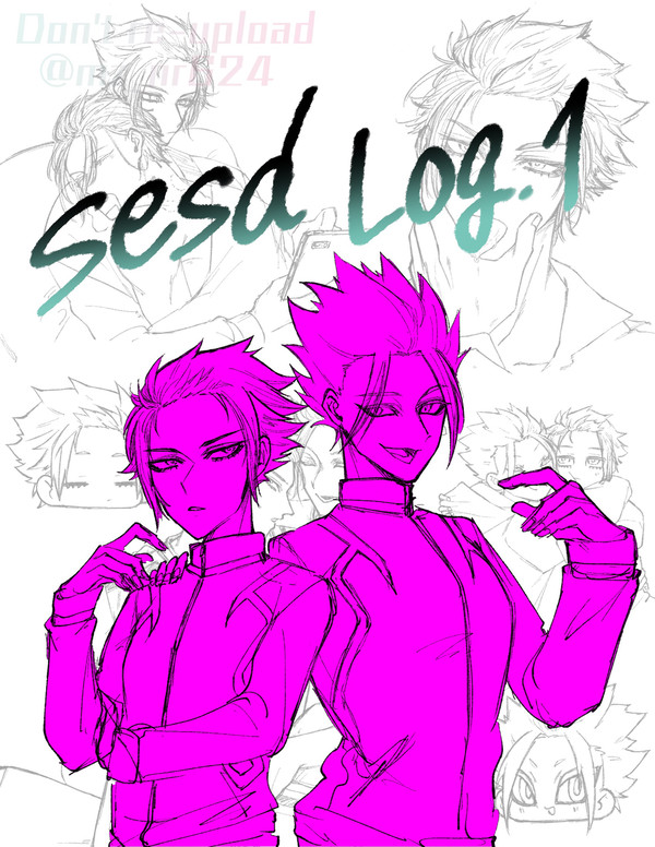 sesd Log.1