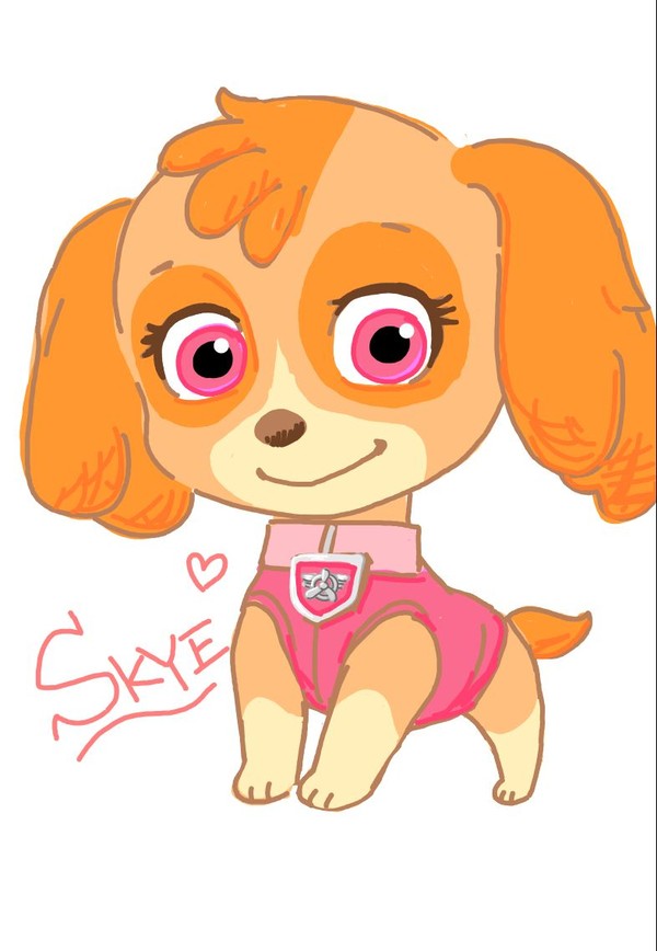💕スカイ/Skye💕