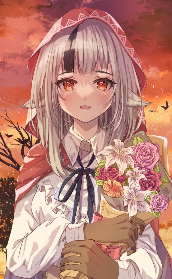 ベロア誕生日