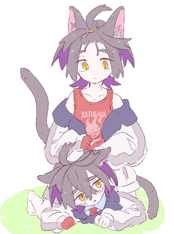 猫sgrまとめ