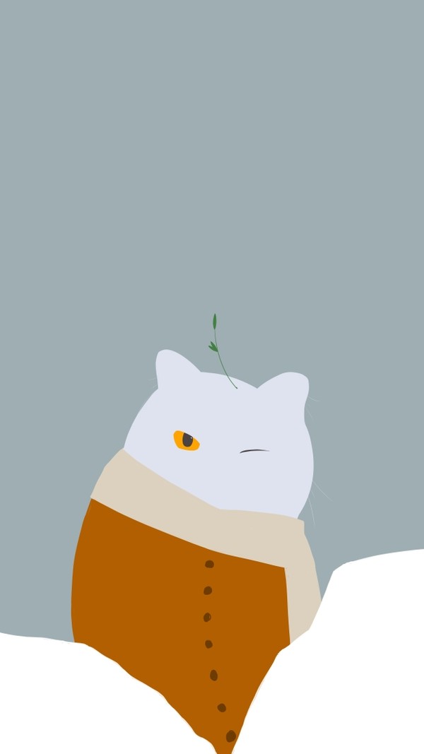 朋友的猫咪