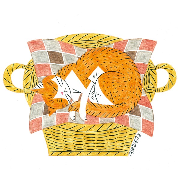 籠と猫🧺🐈