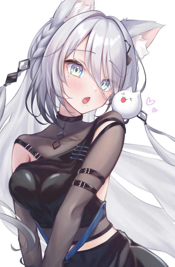 ねこそふぃちゃんとねころびっと