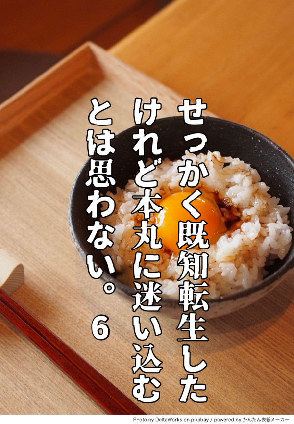 せっかく既知転生したけれど本丸に迷い込むとは思わない。6