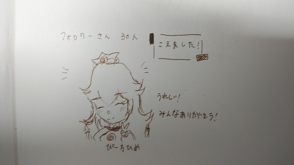 フォロワー様30人記念!!