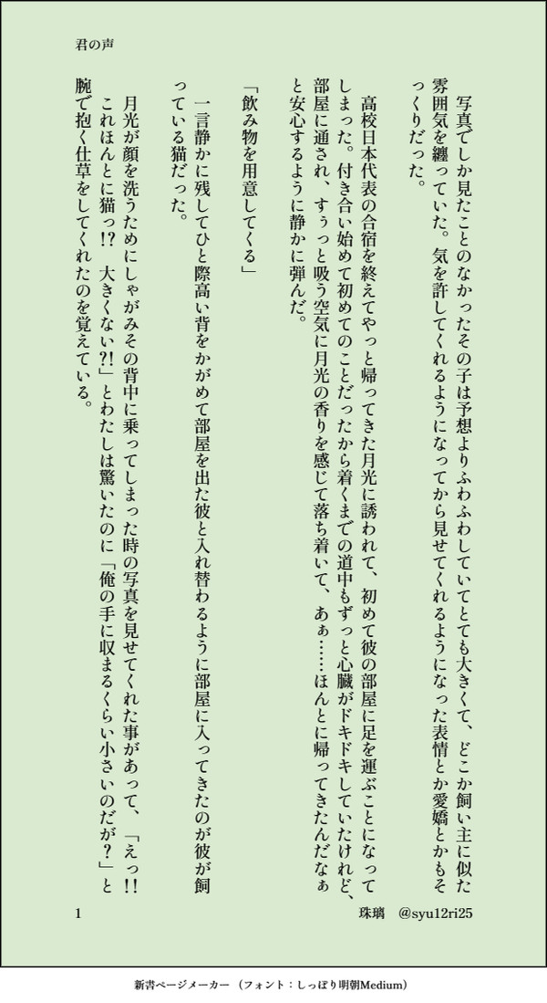 yspr夢小説オンリー　コラボ企画　越知月光　『君の声』