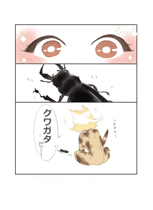 コリコとミスト
