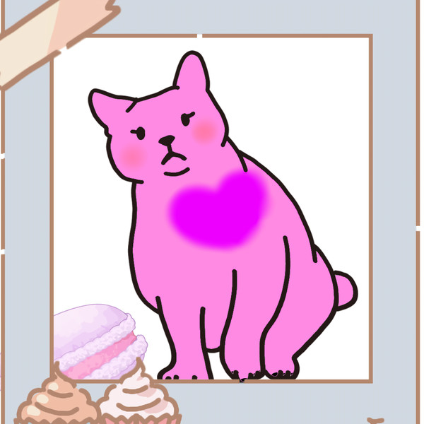 かわいい猫