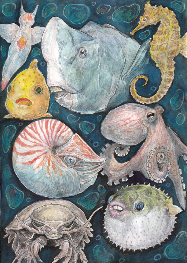 海の生き物
