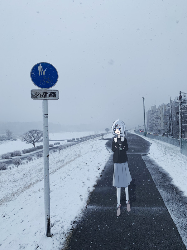 冬探し