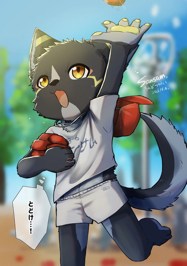 運動会