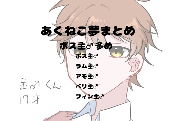 あくねこ夢まとめ