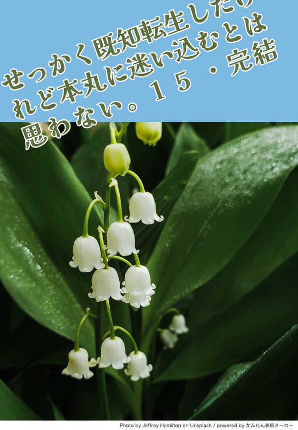 せっかく既知転生したけれど本丸に迷い込むとは思わない。15・完結