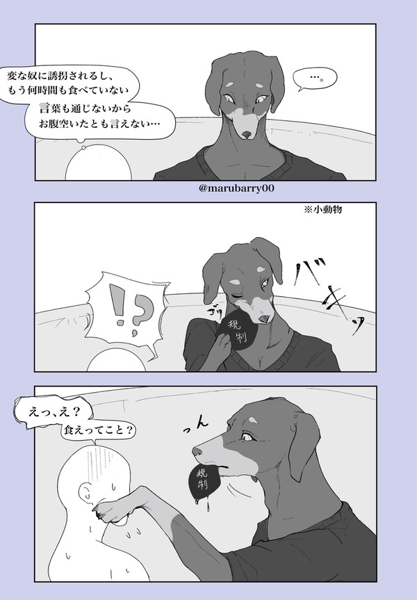 餌付け