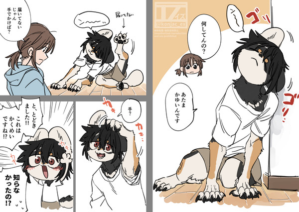 ライカンまとめ
