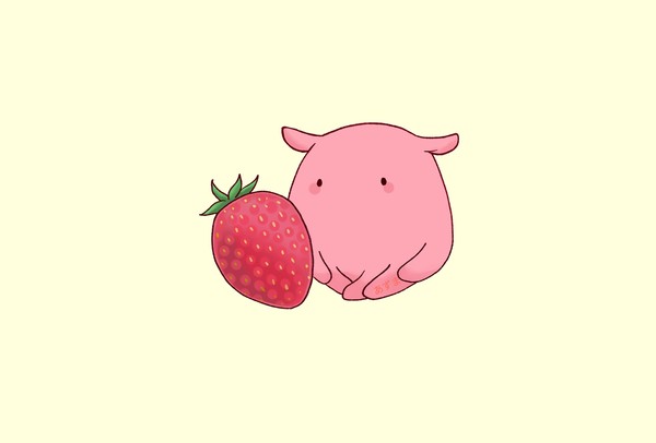 いちごの真似をするメンダコ