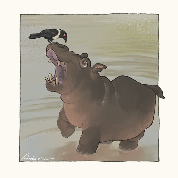 カバとカラス