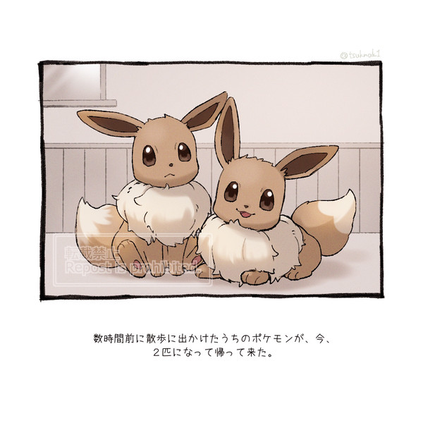イーブイと暮らしている人の呟き - 1/4