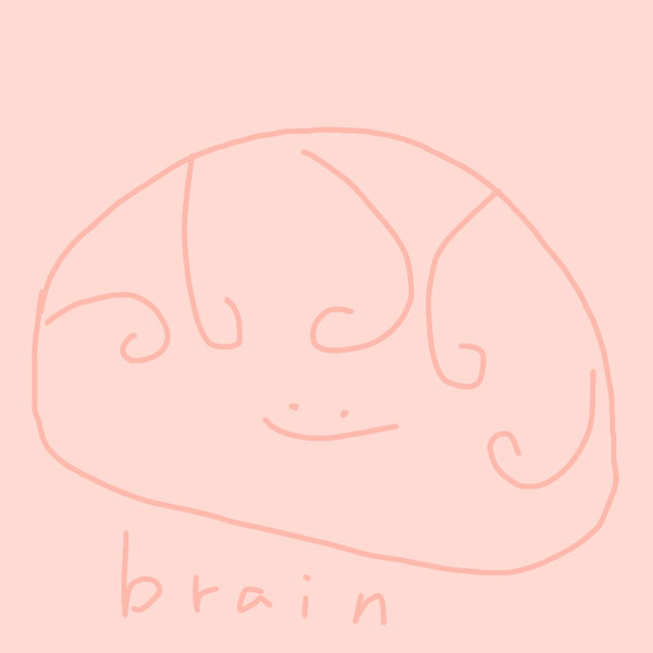 脳