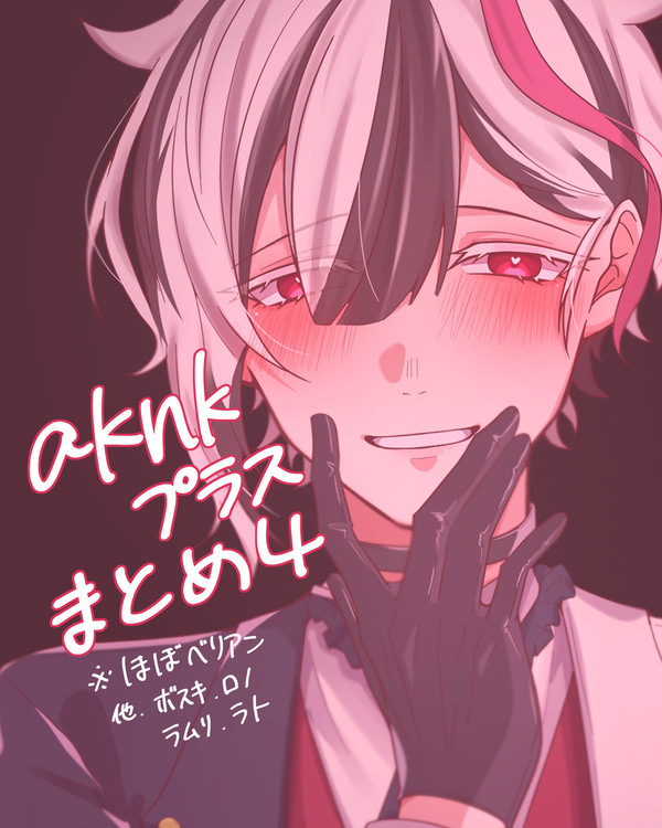 aknkプラスまとめ4