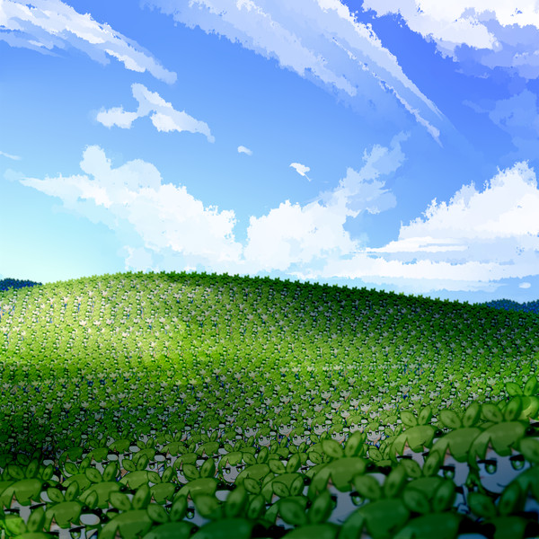 XP