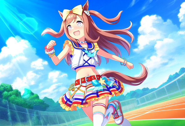 アグネスデジタル