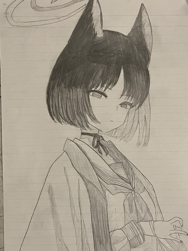 キキョウ模写