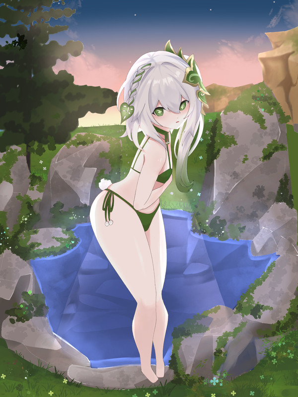 纳希达