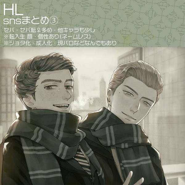 HLsnsまとめ③