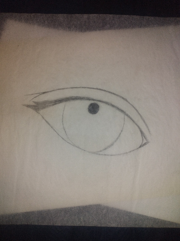 trial eye