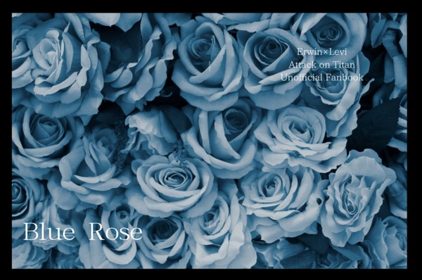 Blue Rose 【画像サンプル】