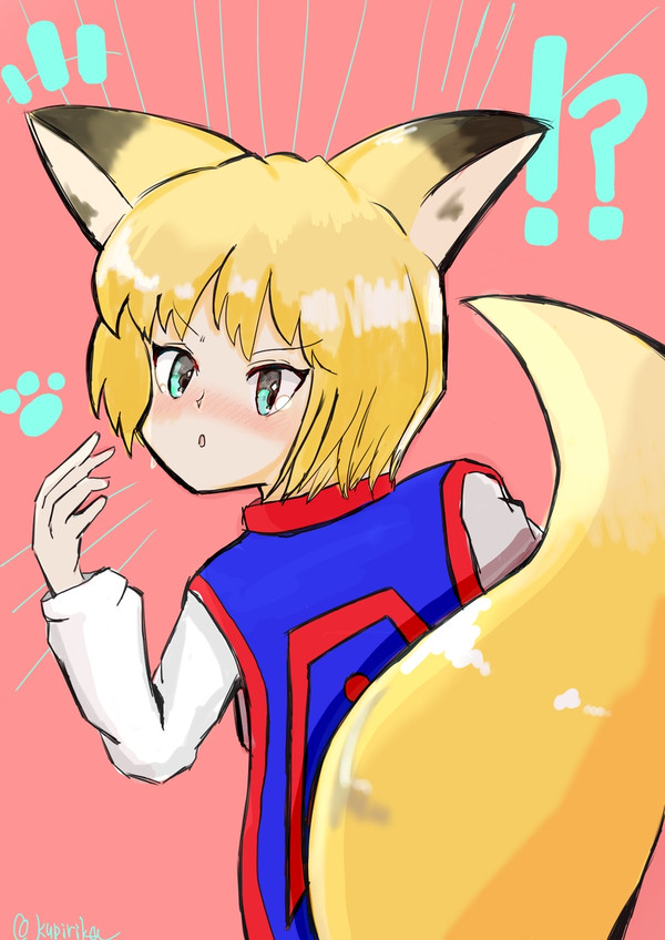 キツネピカ概念