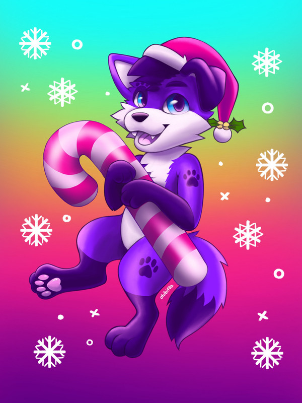 It's Christmas Time!