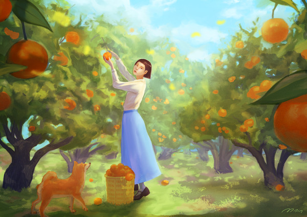 2024 年賀状 🍊