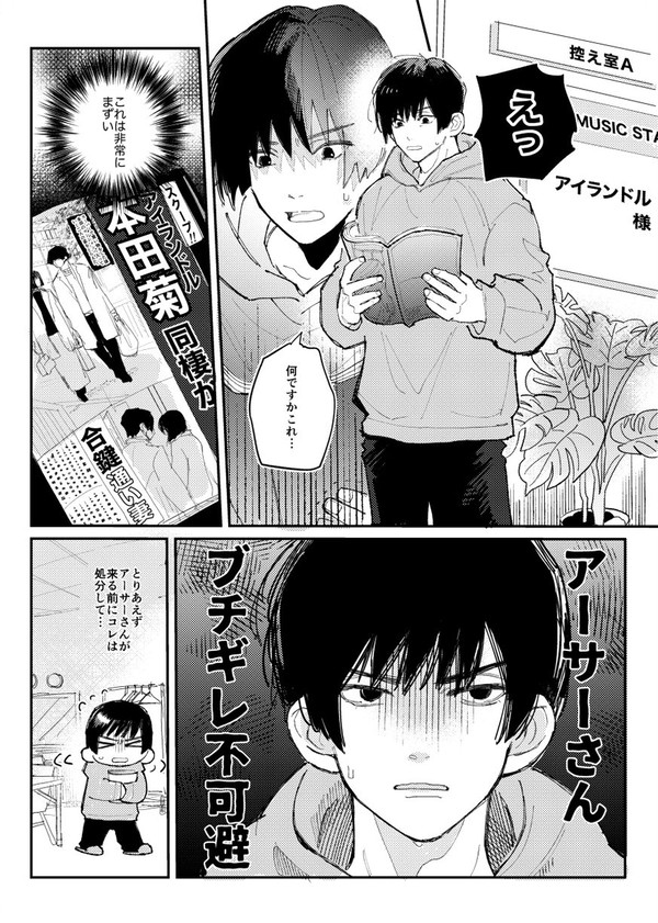 アイランドル朝菊