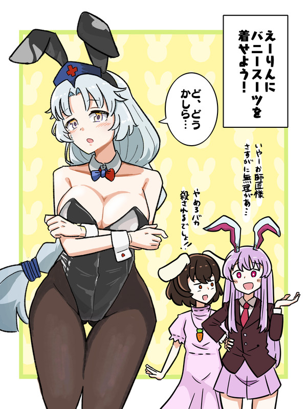 えーりんにバニースーツを着せよう！