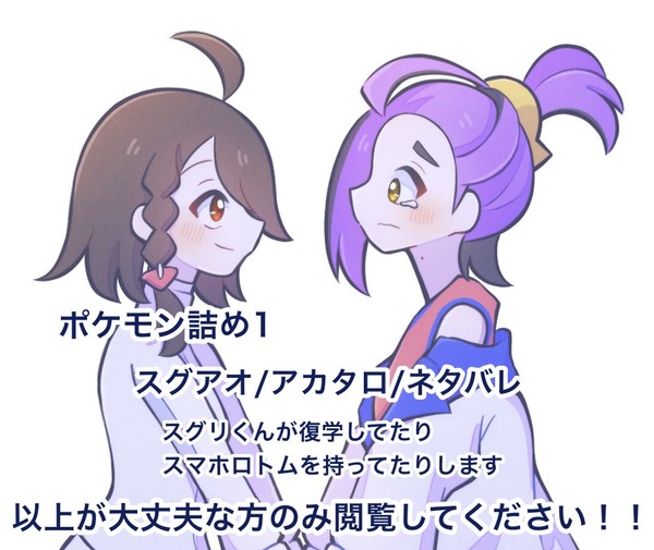 ポケモン詰め1