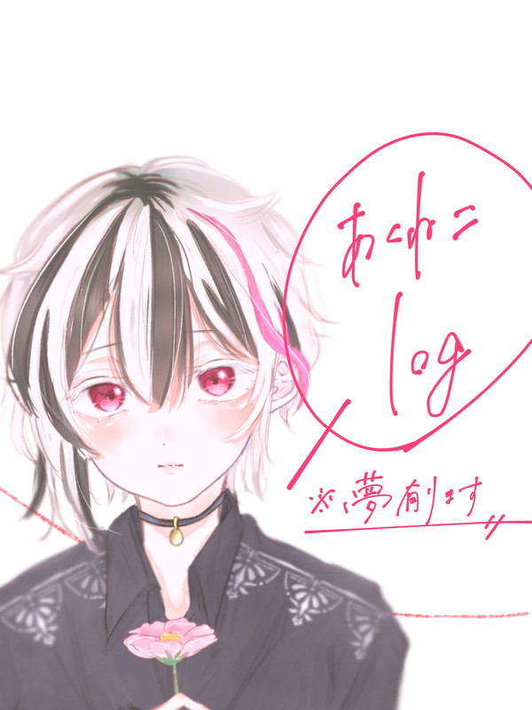 あくねこlog